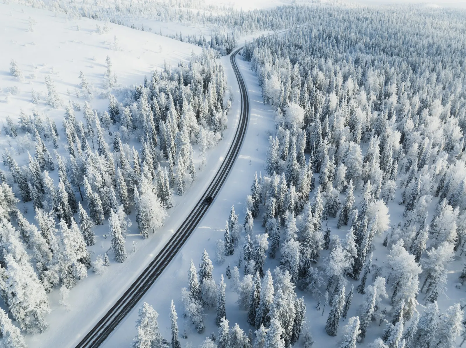 Snow-covered forest and road in Levi from above
