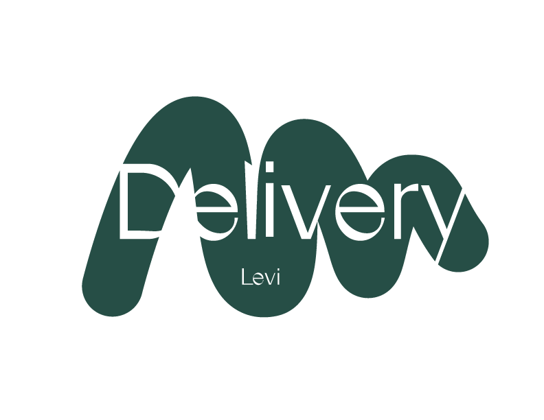 Levi Delivery